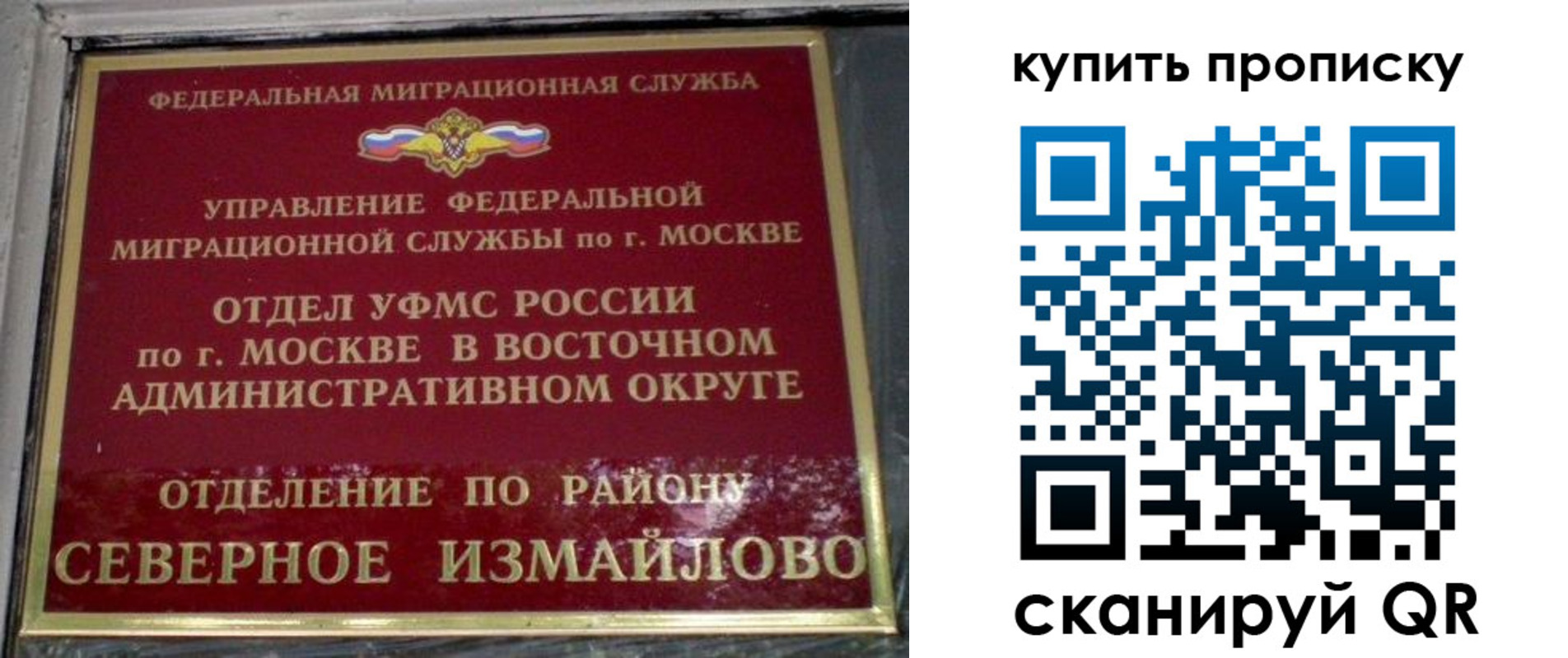 прописка в квартире в Палласовке